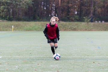 Bild 152 - wBJ Harburger TB - Holstein Kiel : Ergebnis: 2:1